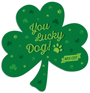 Shamrock - You Lucky Dog thumbnail