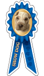 Shar Pei Show Dog thumbnail