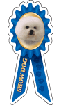 Bichon Show Dog thumbnail