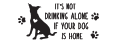 Not drinking alone if dog is home thumbnail