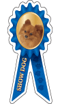 Pomeranian Show Dog thumbnail