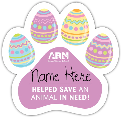 Paw Eggs (Easter) thumbnail
