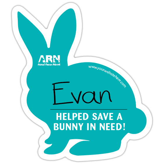 Bunny Silhouette (Teal) thumbnail