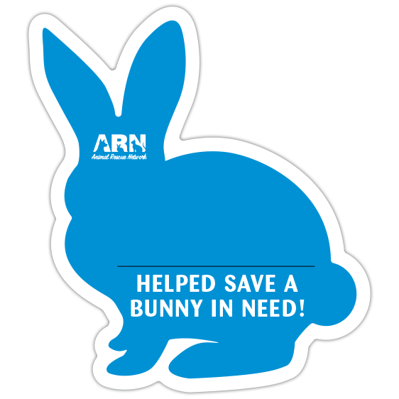 Bunny Silhouette (Blue) thumbnail