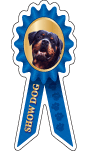 Rottweiler Show Dog thumbnail