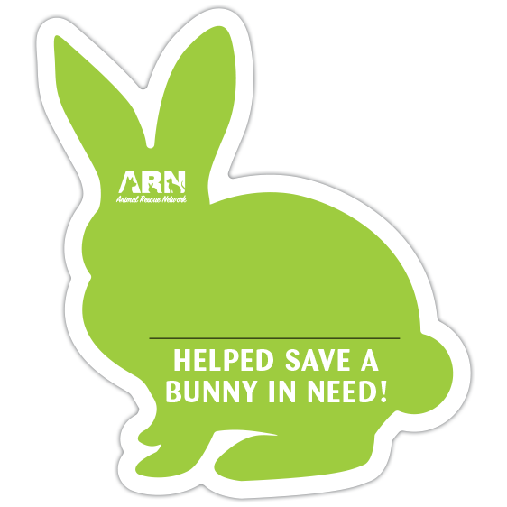 Bunny Silhouette (Lime) thumbnail