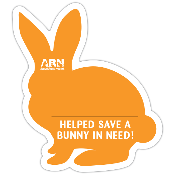 Bunny Silhouette (Orange) thumbnail
