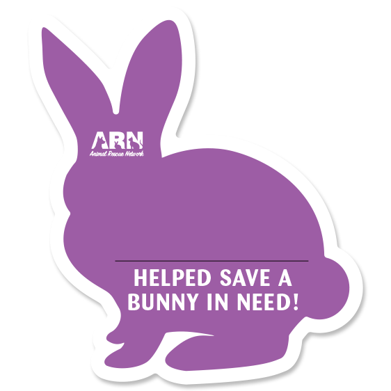 Bunny Silhouette (Purple) thumbnail