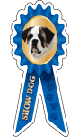Saint Bernard Show Dog thumbnail