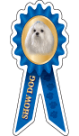 Maltese Show Dog thumbnail