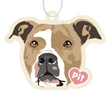 Pit Bull (red/brown) thumbnail