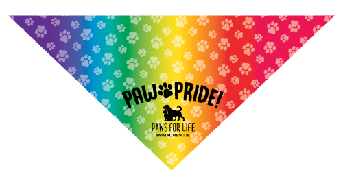 RAINBOW (pride) thumbnail