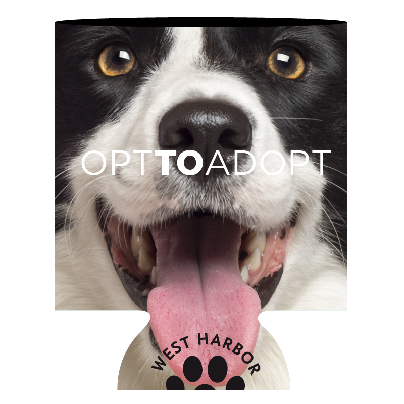 Dog and Cat Closeup thumbnail