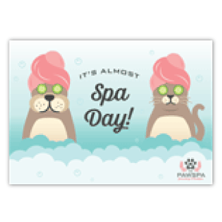 Spa Dog and Cat Illustration thumbnail