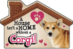 Welsh Corgi thumbnail