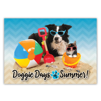 Summer thumbnail
