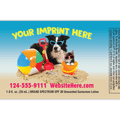 Summer Pets thumbnail
