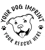 Cute Pit Bull thumbnail