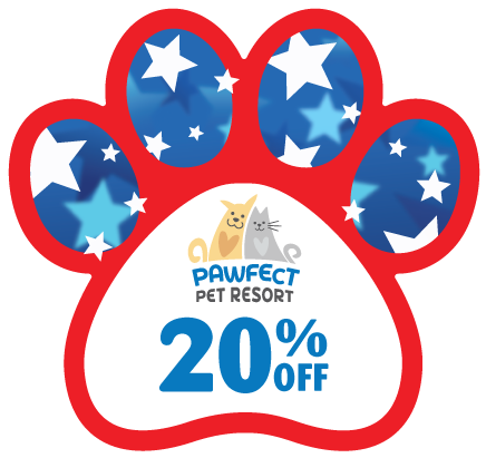 PAW - Stars and Stripes thumbnail