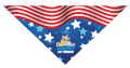 Stars & Stripes thumbnail