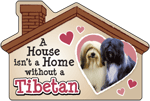 Tibetan Terrier thumbnail
