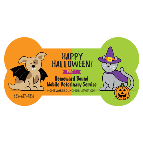 Dog and Cat Costumes thumbnail