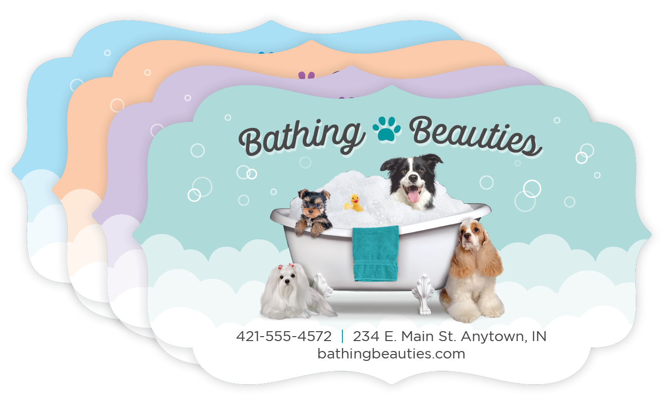 Dogs in Tub thumbnail