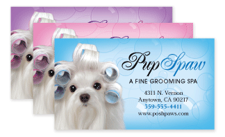 Maltese with Curlers thumbnail