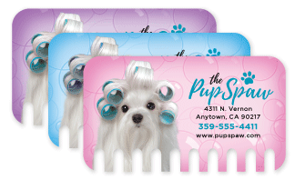 Maltese with Curlers thumbnail