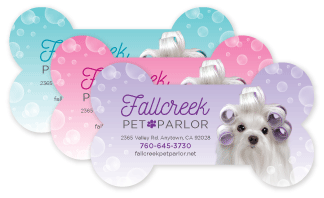 Maltese with Curlers thumbnail