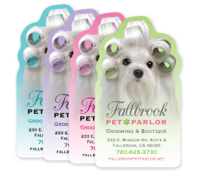 Maltese with Curlers thumbnail