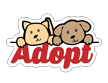 Adopt Dog and Cat thumbnail