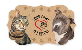 Kraft Paper (pets) thumbnail