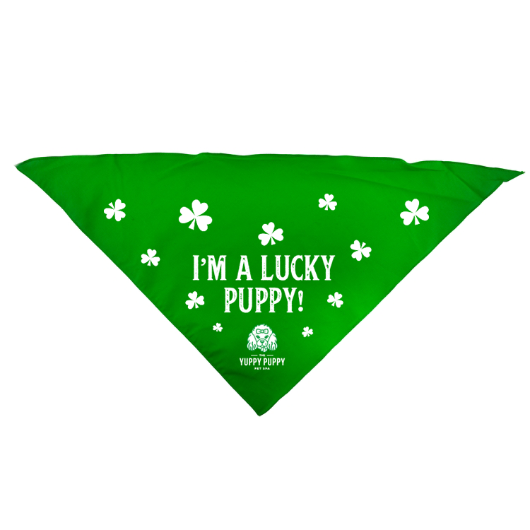Lucky Puppy thumbnail