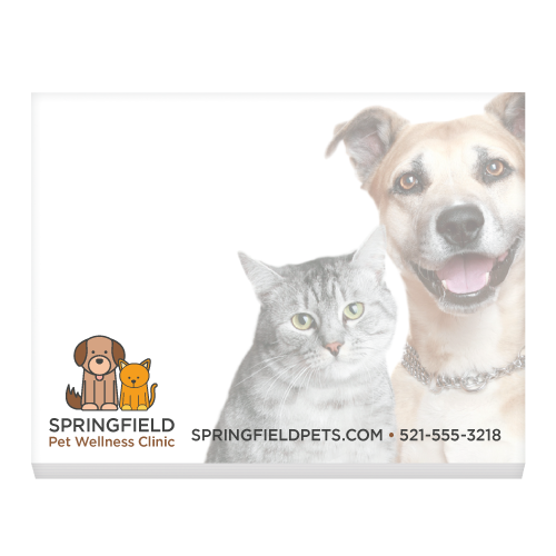 Dog and Cat thumbnail