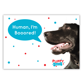 Human, I'm Bored thumbnail