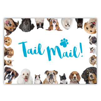 Pet Border thumbnail
