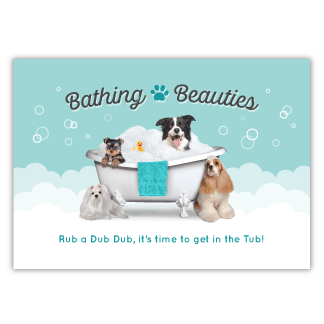 Pets in Tub thumbnail