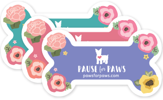 Floral Pop thumbnail