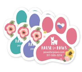 Floral Pop thumbnail