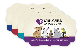Group of Cute Pets thumbnail