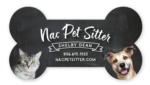 Chalkboard (with Pets) thumbnail