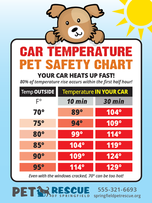 Car Temp Sticker with Dog thumbnail