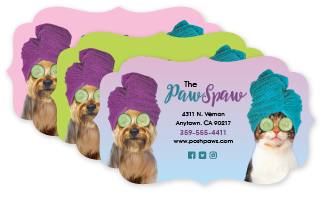 Spa Dog and Cat thumbnail