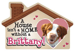 Brittany thumbnail