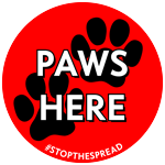 PAWS HERE thumbnail