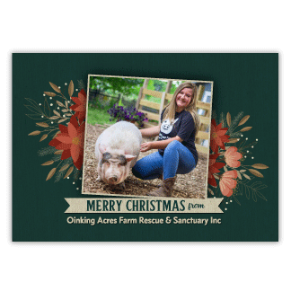 Poinsettias with YOUR Photo thumbnail