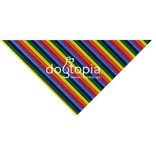 Rainbow Stripe thumbnail