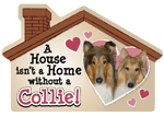 Collie thumbnail