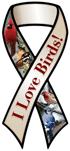 Birds thumbnail